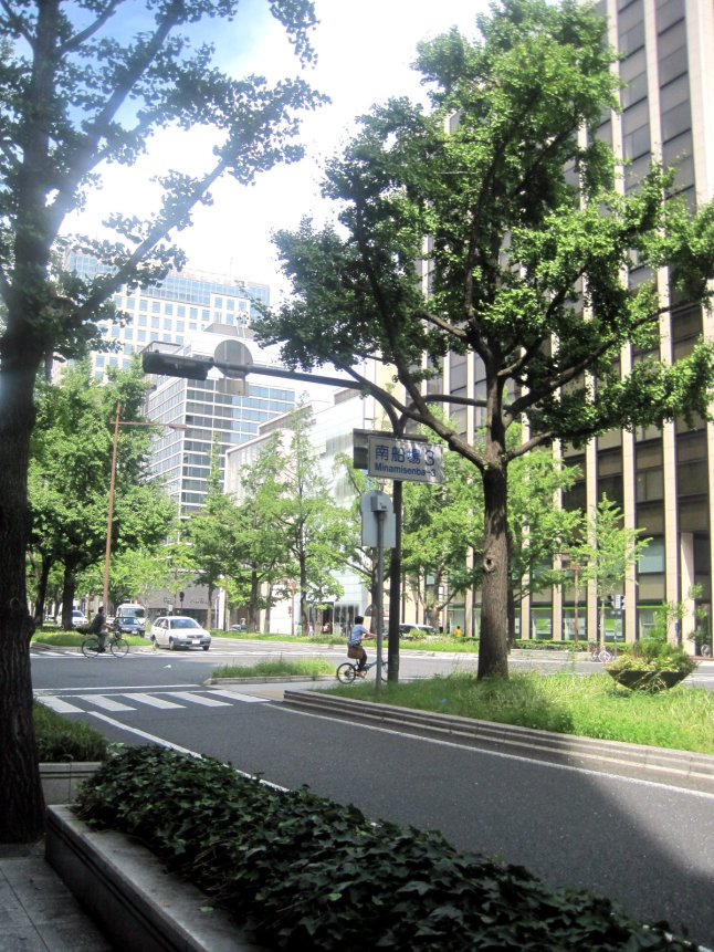 The pretty, tree-lined streets of Shinsaibashi!